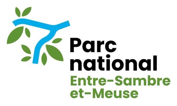 21a logo 1 PNESEM 2025