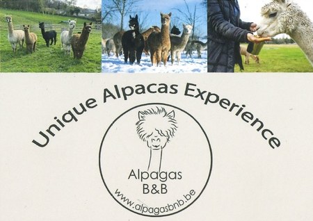 Illustration de l'actualité - cliquer pour agrandir