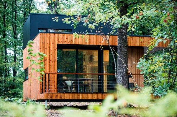 Forest Cube Signature 02